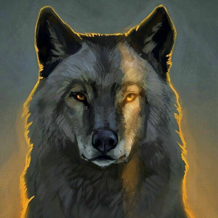 Иконка канала Black WolF