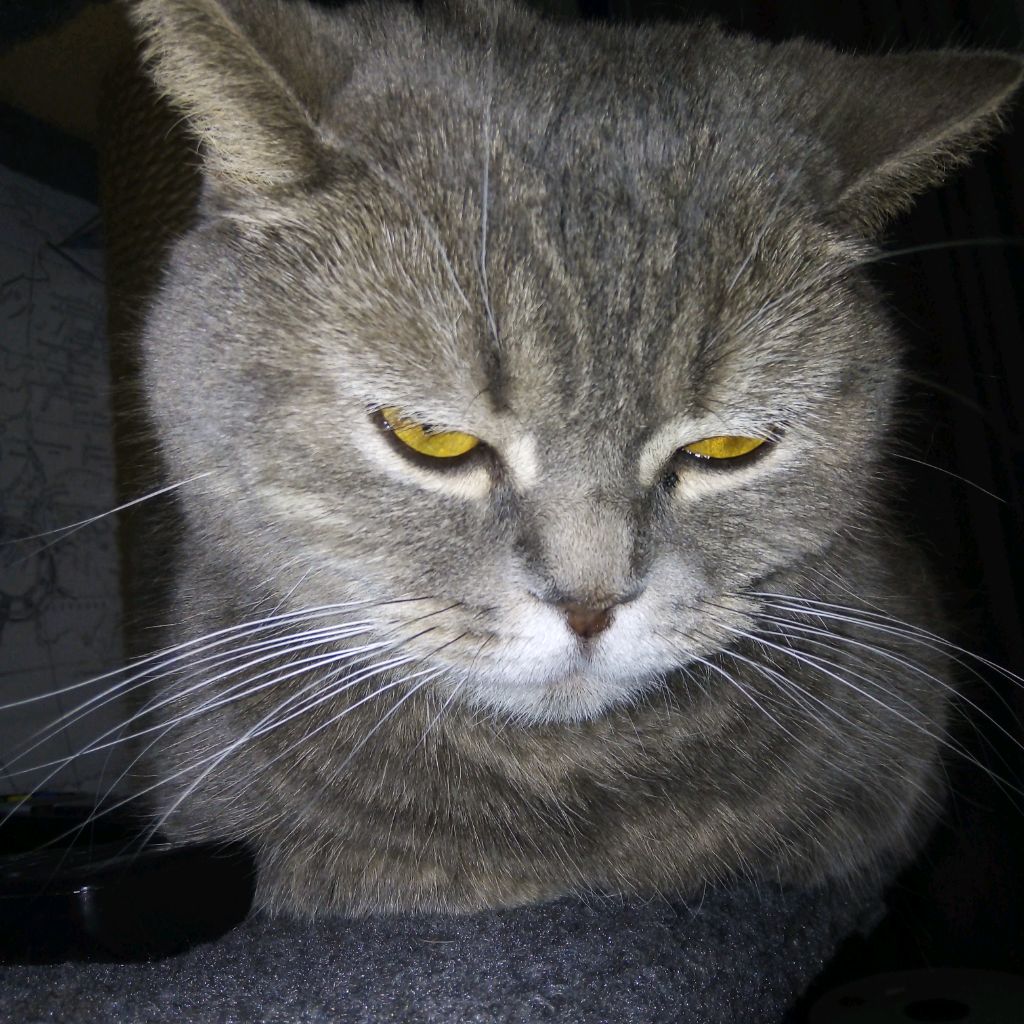 Иконка канала люкс