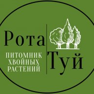 Иконка канала РотаТуй - питомник хвойных растений