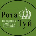 Иконка канала РотаТуй - питомник хвойных растений