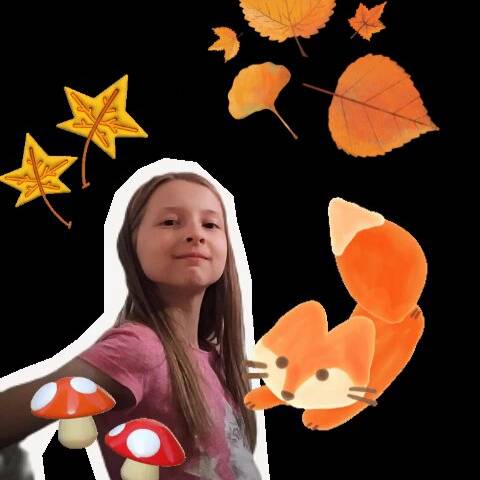 Иконка канала ХИТРЫЙ ХВОСТ