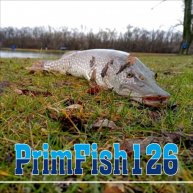 Иконка канала Рыболов любитель (PrimFish126)