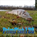 Иконка канала Рыболов любитель (PrimFish126)