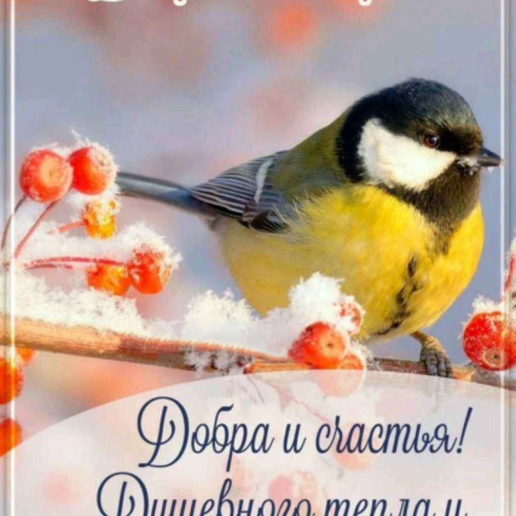 Иконка канала channel48843426