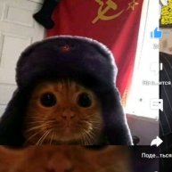 Иконка канала Кот сигма 2