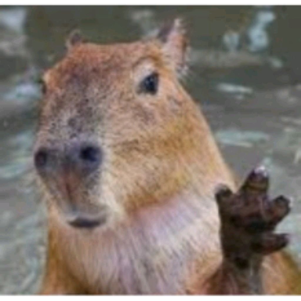 Иконка канала msv1988