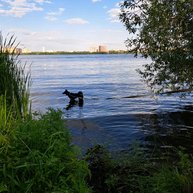 Иконка канала Окружающий мир