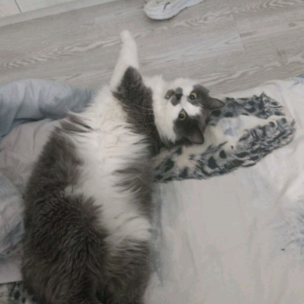 Аватар