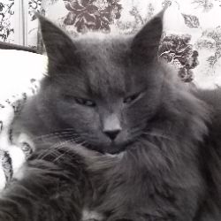 Иконка канала мой канал