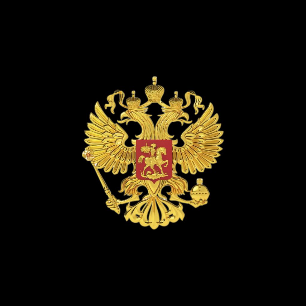 Иконка канала Россия за Путина