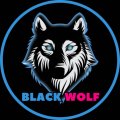 Иконка канала BLACK WOLF GAMING