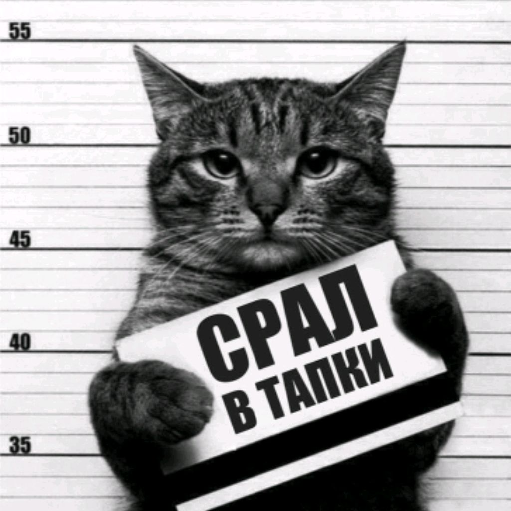 Иконка канала Рамсес Великий🫥