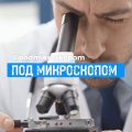 Иконка канала Под микроскопом 🔬