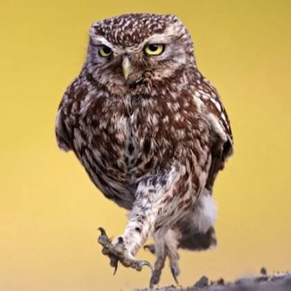 Иконка канала Victor_k_v