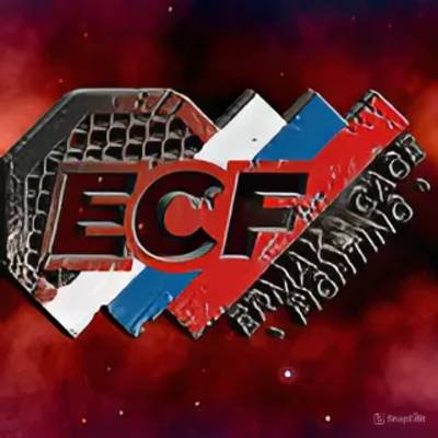 Иконка канала ЕРМАК |ECF MMA| профессиональная лига