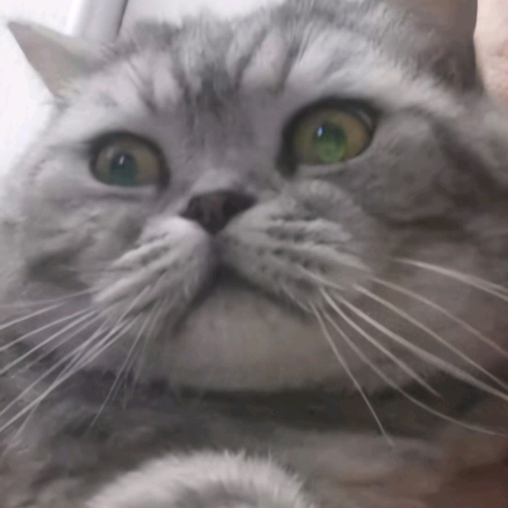 Иконка канала Switalka