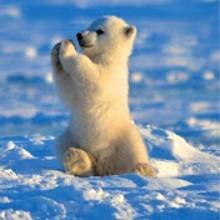 Иконка канала ToM-GriiN