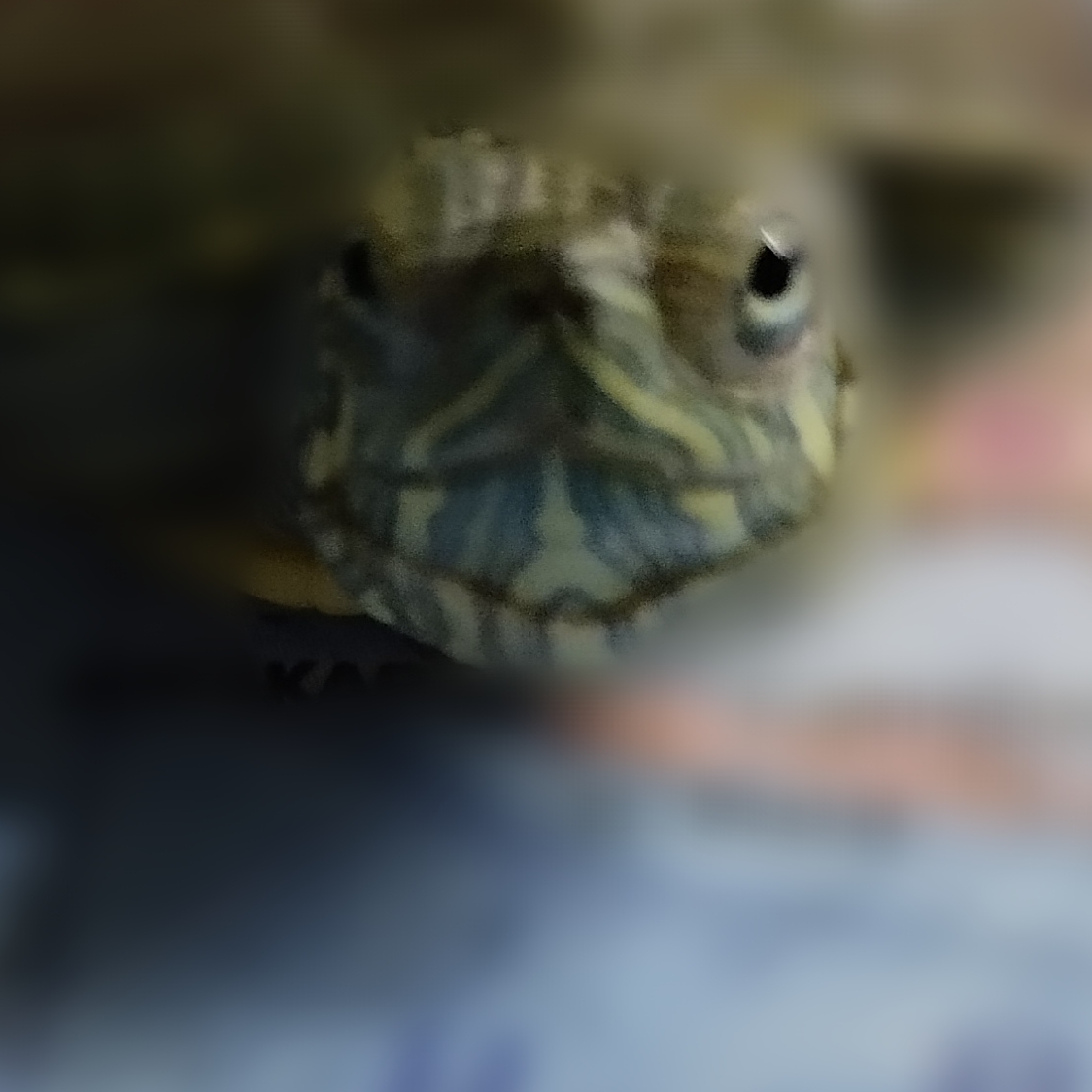 Иконка канала channel50876138