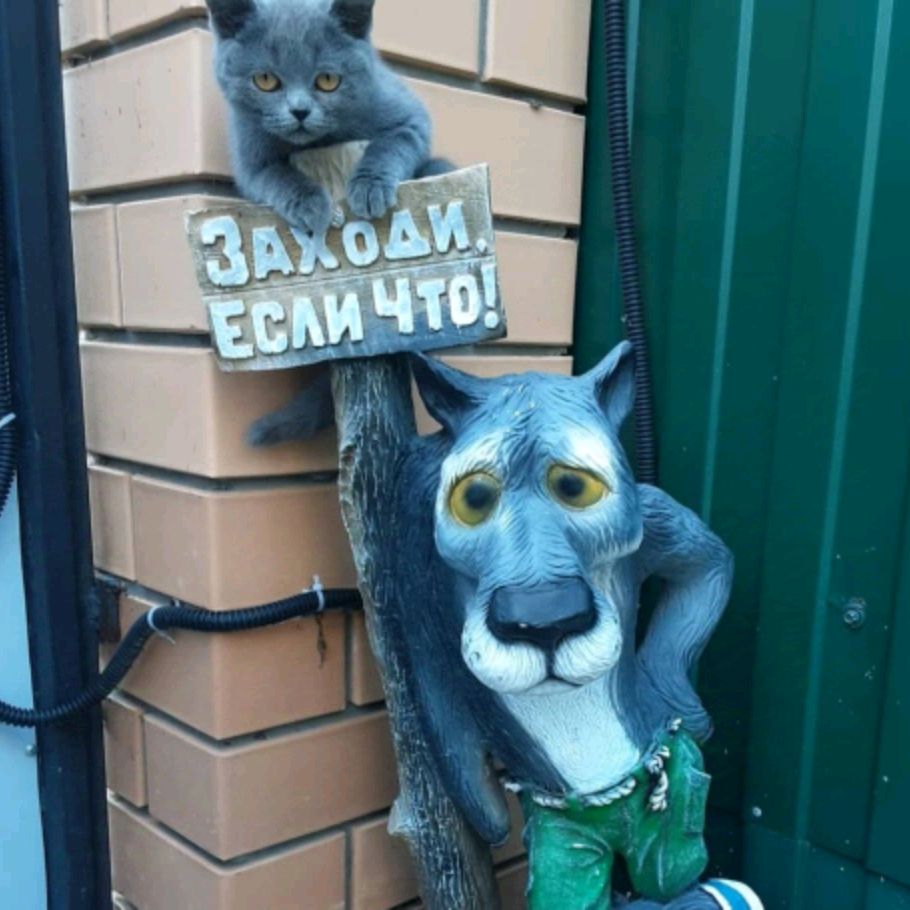 Иконка канала Мой любимый зверополис