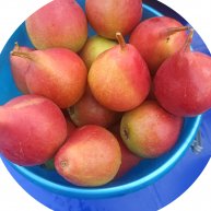 Иконка канала channel51043284Владимир Тоторов.