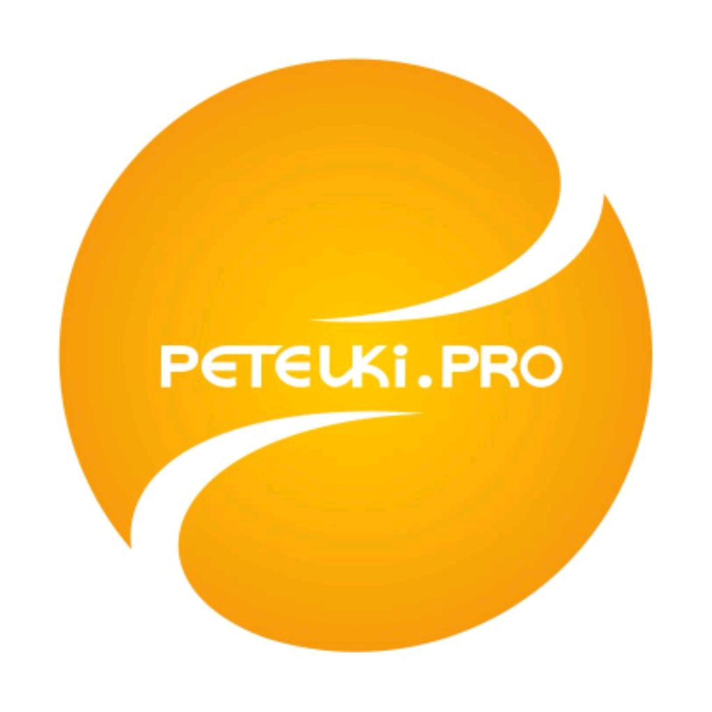 Иконка канала PETELKI.PRO - Школа Сноуборда