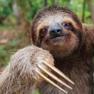 Иконка канала DEHUC64