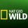 Иконка канала Nat Geo Wild Дикая Природа