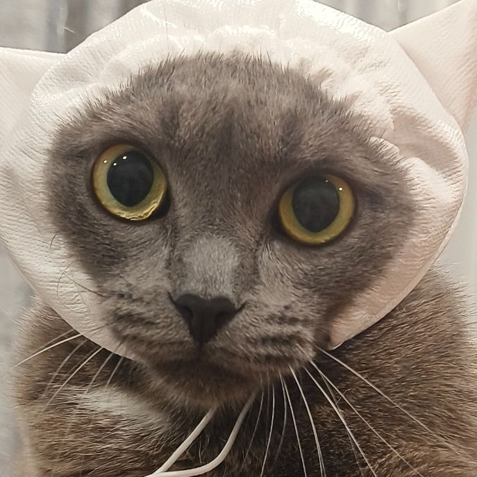 Иконка канала Совкомбанчик