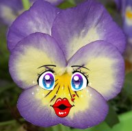 Иконка канала Цветочные истории день за днём.