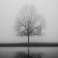 Иконка канала Synthetic Peals