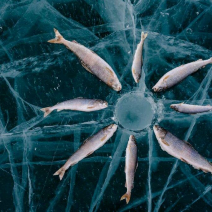 Иконка канала Иркутские истории