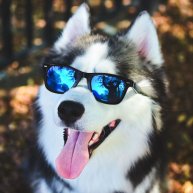 Иконка канала Vlad