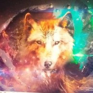 Иконка канала WOLFICH