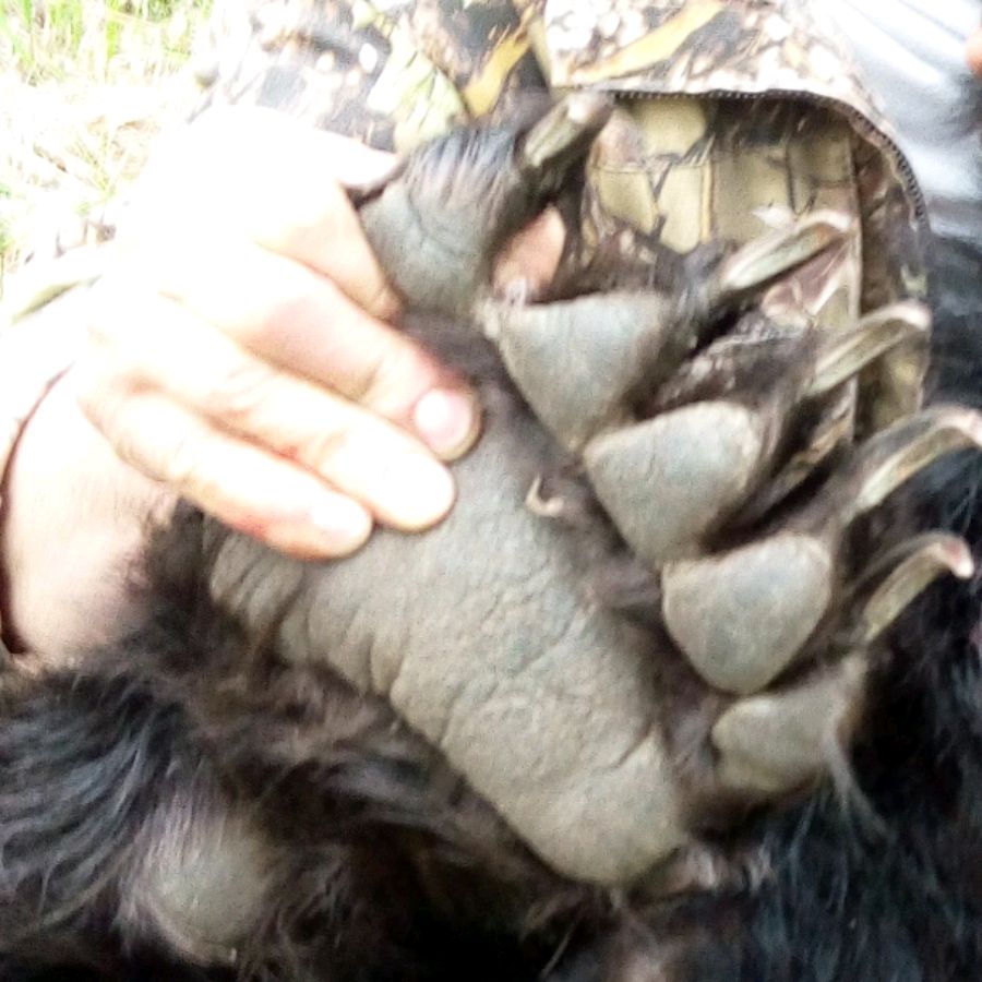 Иконка канала Юрич