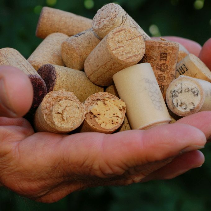 Иконка канала Alex Gerra. Виноделие.