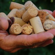 Иконка канала Alex Gerra. Виноделие.