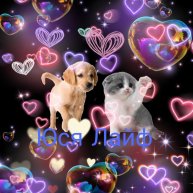 Иконка канала Юся Лайф♡♡♡☑️