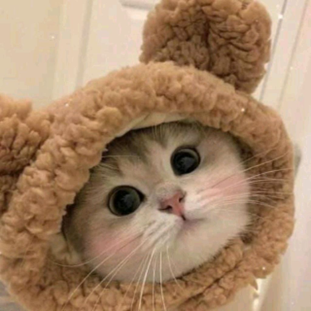 Иконка канала Шоколадная лягушка 🖤🖤🖤
