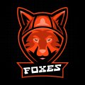 Иконка канала FOXES