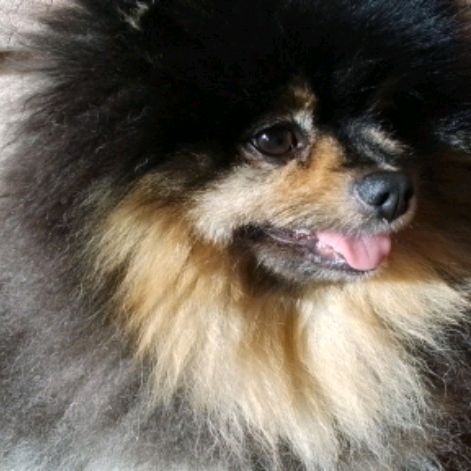 Иконка канала Кубик Рубика