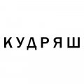 Иконка канала Александр Кудряшов (Кудряш)