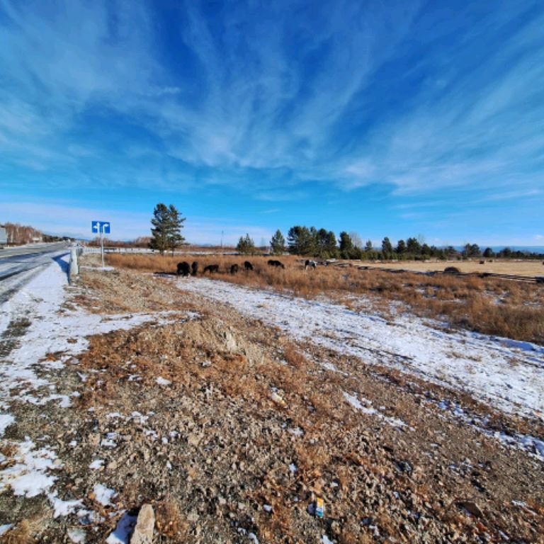 Иконка канала Светланы