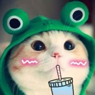 Иконка канала Полик Омск