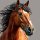 Иконка канала EquestrianJourney