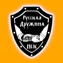 Иконка канала Русская Дружина Новосибирск