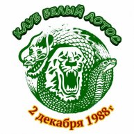 Иконка канала Лабиринты кунг-фу