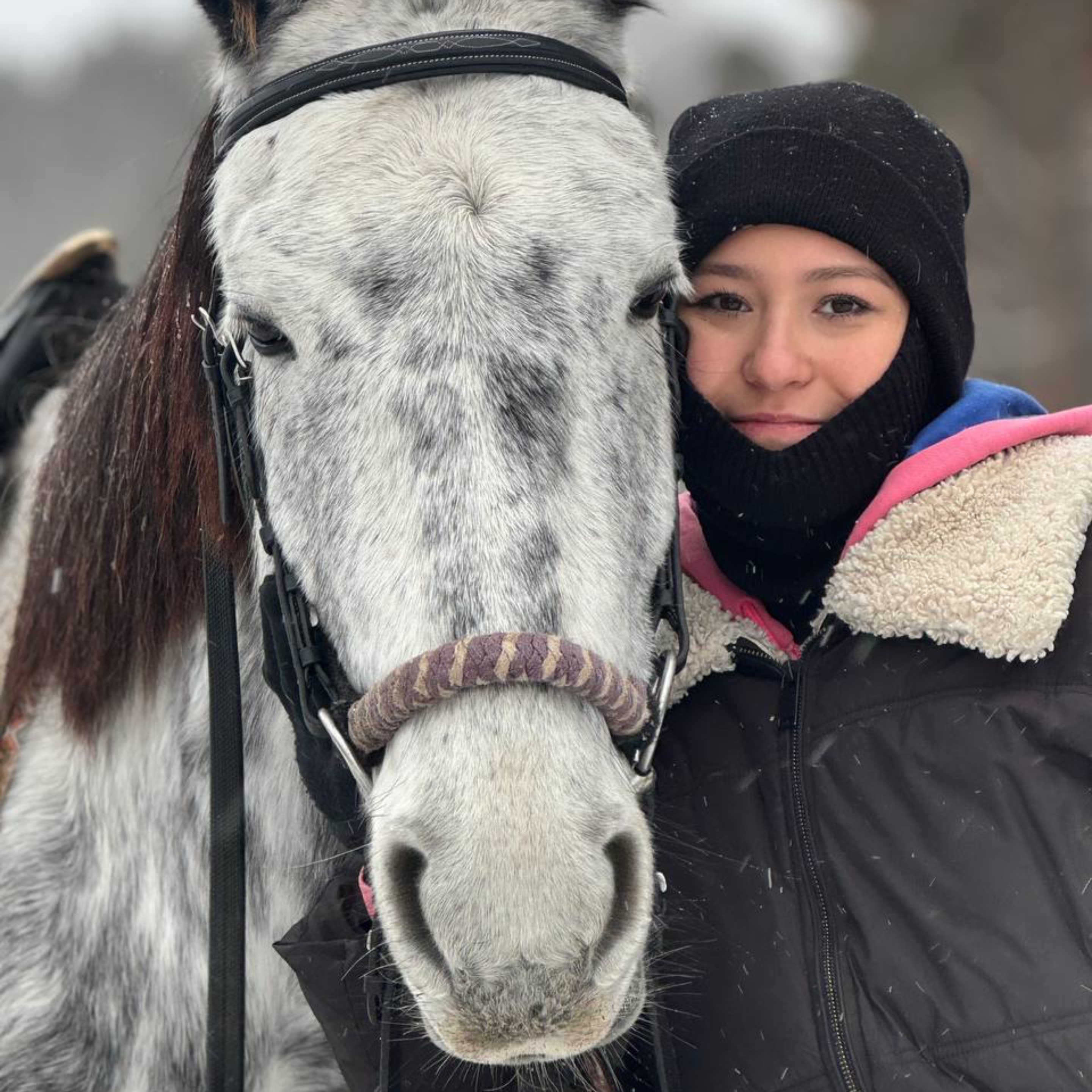 Иконка канала Aaanka