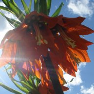 Иконка канала KsyloTen