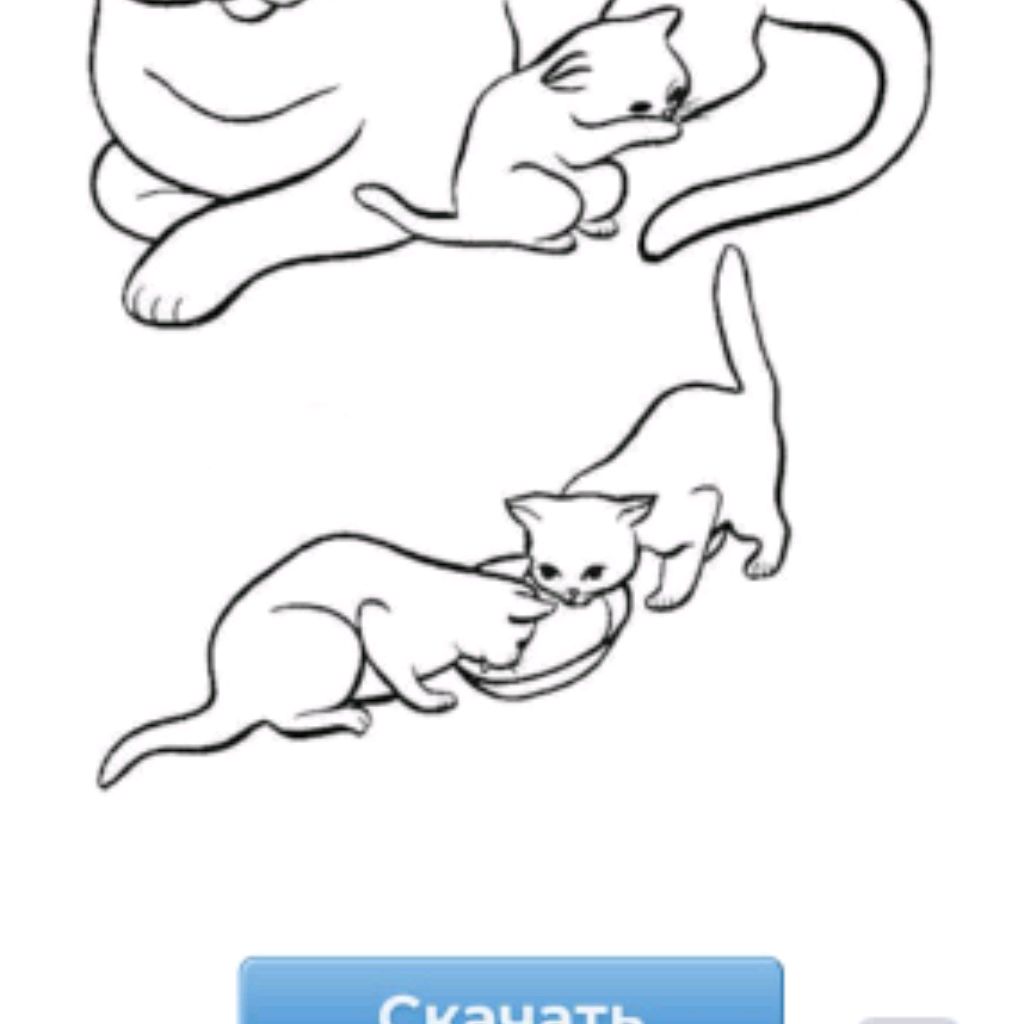 Аватар
