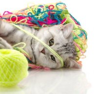 Иконка канала У Маргоши